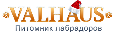 Главная